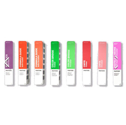 Pantone Portable Guide Studio - GPG304B