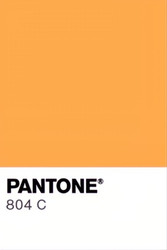 Pantone Fluorescent Orange 804
