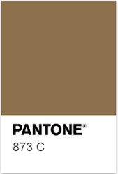 873 Gold Offset Ink Color Chip