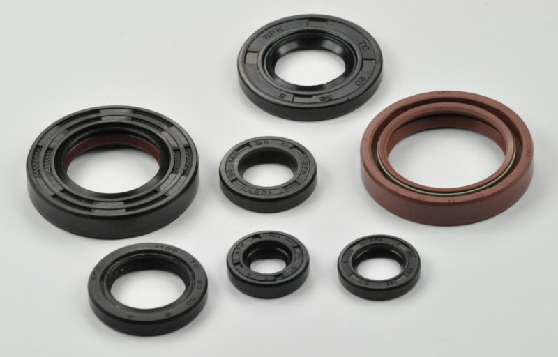 Yamaha Blaster Yfs200 Engine Oil Seal Kit 1988-2006
