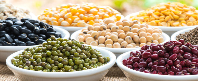 Top Nutrient-Dense Prebiotic Foods Include Beans and Legumes