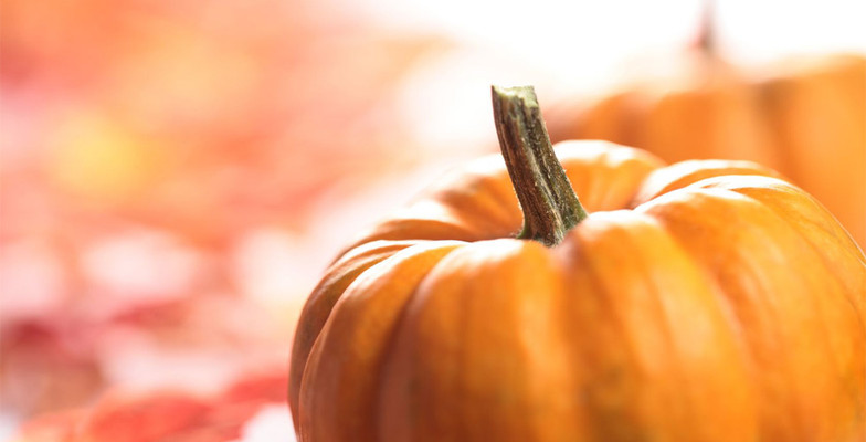 Pumpkin Recipes for Thanksgiving