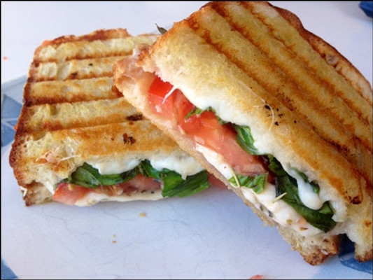 Grilled Panini Sandwich Recipe Ideas