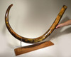 LMX113 - NEARLY 7 FOOT COMPLETE EUROPEAN WOOLLY MAMMOTH TUSK WITH THE FINEST COLOR PATTERNS AND FORM