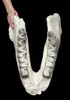 LM1003  - FOSSIL BRONTOTHERIUM FULL LOWER JAW WITH TEETH