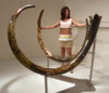 LARGEST PAIR OF MAMMOTH TUSKS