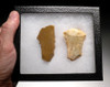 UP019 - SET OF TWO LARGE UPPER PALEOLITHIC FLAKE TOOLS FROM FAMOUS CRO-MAGNON SITE IN FRANCE