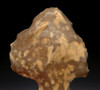 AT076 - BEAUTIFUL SPECKLED FLINT MIDDLE STONE AGE ATERIAN TANGED POINT - OLDEST ARROWHEAD