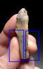 UP025 - RARE UPPER PALEOLITHIC MAGDALENIAN ENGRAVER TOOL FROM FAMOUS FRENCH CAVE ART SITE