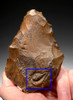 M383 - RARE FINEST  MUSEUM EXAMPLE EGYPTIAN ACHEULEAN HAND AXE WITH UNUSUAL NATURAL ANIMISTIC FEATURE