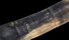 STUNNING ROBUST WOOLLY MAMMOTH TUSK OF BLUE IVORY FROM EUROPE *MT028