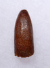 PREMIUM FOSSIL TOOTH FROM A DIPLODOCOID SAUROPOD DINOSAUR *DT9-033