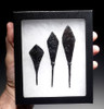 EXCELLENT SET OF 3 ANCIENT ROMAN IRON ARROWHEADS FROM THE BYZANTINE ERA *R177