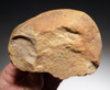 LOWER PALEOLITHIC OLDOWAN PEBBLE CHOPPER AXE - EARLIEST HUMAN ARTIFACT *PB132