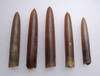 FIVE NATURAL GONIOTEUTHIS SOLID CALCITE BELEMNITES FROM THE CRETACEOUS PERIOD *BEL104