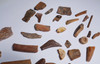 COLLECTION OF 40 FOSSIL DINOSAUR AND REPTILE TEETH AND BONES  *BONELOT10