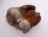 SUPERB AUSTRIAN CAVE BEAR FOSSIL MOLAR TOOTH WITH FULL ROOT FROM THE FAMOUS DRACHENHOHLE DRAGONS CAVE *LMX241