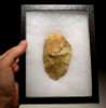 PREHISTORIC HOMO ERECTUS MASTERPIECE ACHEULEAN FLINT HAND AXE WITH INGENIOUS GRIP FROM FRANCE  *ACH220