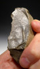 EXTREMELY RARE HOMO ERECTUS CLACTONIAN CHOPPER TOOL FROM EUROPE *CL004