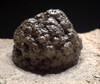 PERMIAN LIFELIKE FRESHWATER FOSSIL BACTERIAL BALL STROMATOLITE COLONY FROM GERMANY *ST017