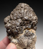 WHOLE PERMIAN STROMATOLITE COLONY FOSSIL FROM A PREHISORIC LAKE *STRX004