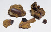 CRETACEOUS DINOSAUR AGE MATRIX FOSSILS FROM THE LANCE FORMATION *DBM01