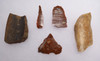 RARE SEVEN PIECE HUNGARIAN NEOLITHIC ARTIFACT SET FROM EUROPE'S FIRST FARMERS  *N188