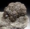 RARE PERMIAN FOSSIL STROMATOLITE PREHISTORIC BACTERIA COLONY IN NATURAL FORM *STX610