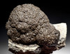 EXTREMELY RARE LARGE PERMIAN FOSSIL STROMATOLITE BACTERIA COLONY IN NATURAL FORM *STX611