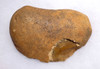 RARE LARGE BRITISH LOWER STONE AGE OLDOWAN PEBBLE CHOPPER AXE FROM ENGLAND  *PB139