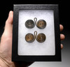 MUSEUM-CLASS EUROPEAN BRONZE AGE SPIRAL ORNAMENT SET WITH SUPERB INTACT PRESERVATION *EB001