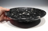 LARGE FOSSIL ORTHOCERAS STONEWARE BOWL 10" INCH  *SW75