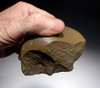 FINEST STONE AGE OLDOWAN PEBBLE CHOPPER AXE AFRICA  *PB146