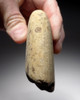 EXCELLENT HOMO ERECTUS OLDOWAN PEBBLE CHOPPER AXE FROM REGION OF EARLIEST HUMANS IN EUROPE  *PB147