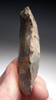 SPECTACULAR LARGE CRO-MAGNON UPPER PALEOLITHIC AURIGNACIAN SIDE SRAPER TOOL FROM FAMOUS LA ROCHETTE SITE FRANCE  *UP035