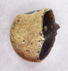 STONE AGE ENGLAND HOMO ANTECESSOR OLDOWAN PEBBLE TOOL SCRAPER FROM FAMOUS HAPPISBURGH FOOTPRINTS REGION  *PB156