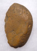 LARGE EXCEPTIONAL HOMO ERECTUS OLDOWAN PEBBLE SCRAPER FROM BRITAIN'S FAMOUS HAPPISBURGH FOOTPRINTS REGION *PB169