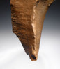 ENORMOUS MUSEUM-CLASS HOMO ERECTUS ELEPHANT KILLER HAND AXE FROM THE ACHEULEAN  *ACH429