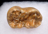 SUPREME LARGE AUSTRIAN CAVE BEAR FOSSIL MOLAR TOOTH WITH ROOT FROM THE FAMOUS DRACHENHOHLE DRAGONS CAVE *LM40-193
