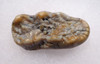 CAVE BEAR PRIMARY MOLAR FOSSIL TOOTH FROM THE FAMOUS AUSTRIA DRACHENHOHLE DRAGONS CAVE *LM40-190