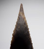 BEST OF THE BEST CAPSIAN AFRICAN NEOLITHIC THIN SERRATED NEEDLE-TIP BARBED ARROWHEAD  *CAP270