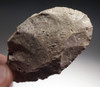 SEVEN SUPREME CAPSIAN AFRICAN NEOLITHIC FLAKE TOOLS FOUND TOGETHER  *CAP277