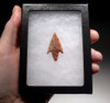 FINEST COLORFUL SERRATED BARBED CAPSIAN AFRICAN NEOLITHIC ARROWHEAD  *CAP282