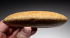 SCARCE UNBROKEN STONE RING MACE HEAD OF THE CAPSIAN AFRICAN NEOLITHIC  *CAP289
