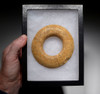 SCARCE UNBROKEN STONE RING MACE HEAD OF THE CAPSIAN AFRICAN NEOLITHIC  *CAP289