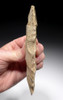 NARROW WHITE CAPSIAN AFRICAN NEOLITHIC FLAKED CELT WAR AXE WITH HEAVY DESERT VARNISH PATINA  *CAP294