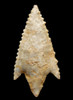 FINEST LARGE DELTA TANG TRIANGULAR CAPSIAN AFRICAN NEOLITHIC ARROWHEAD  *CAP300