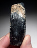 MOST BEAUTIFUL LARGE FOSSIL TUSK INCISOR OF AN EXTINCT CASTOROIDES GIANT BEAVER WITH RARE COLORS  *LMX256