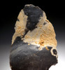 LARGE NEANDERTHAL MOUSTERIAN CONVERGENT SIDE SCRAPER FLAKE TOOL FROM DORDOGNE FRANCE  *M428