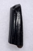 CHOICE GIANT BEAVER LOWER TUSK FOSSIL INCISOR  *LMX277